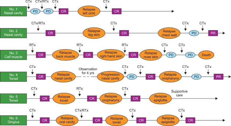 Extranodal natural killer/T-cell lymphoma with long-term survival and repeated relapses: does it indicate the presence of indolent subtype?