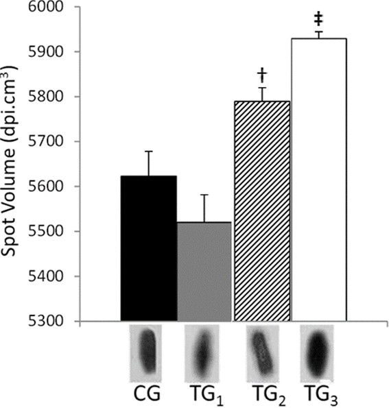 High molecular mass proteomics analyses of left ventricle from rats subjected to differential swimming training.