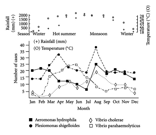 Clinical and Epidemiologic Features of Diarrheal Disease due to Aeromonas hydrophila and Plesiomonas shigelloides Infections Compared with Those due to Vibrio cholerae Non-O1 and Vibrio parahaemolyticus in Bangladesh.