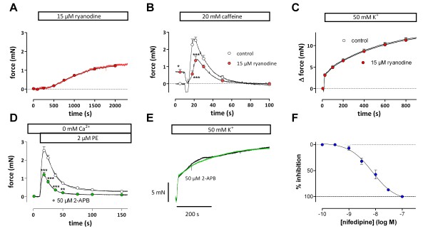 Contribution of transient and sustained calcium influx, and sensitization to depolarization-induced contractions of the intact mouse aorta.