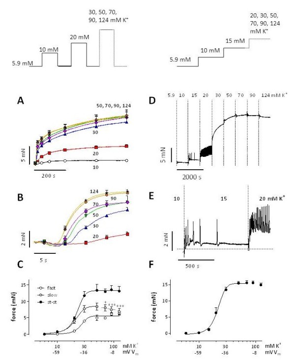 Contribution of transient and sustained calcium influx, and sensitization to depolarization-induced contractions of the intact mouse aorta.