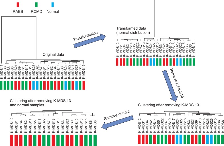 Identification of genes underlying different methylation profiles in refractory anemia with excess blast and refractory cytopenia with multilineage dysplasia in myelodysplastic syndrome.