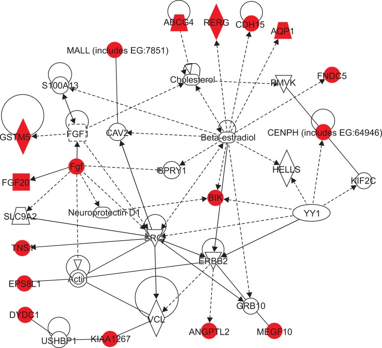 Identification of genes underlying different methylation profiles in refractory anemia with excess blast and refractory cytopenia with multilineage dysplasia in myelodysplastic syndrome.