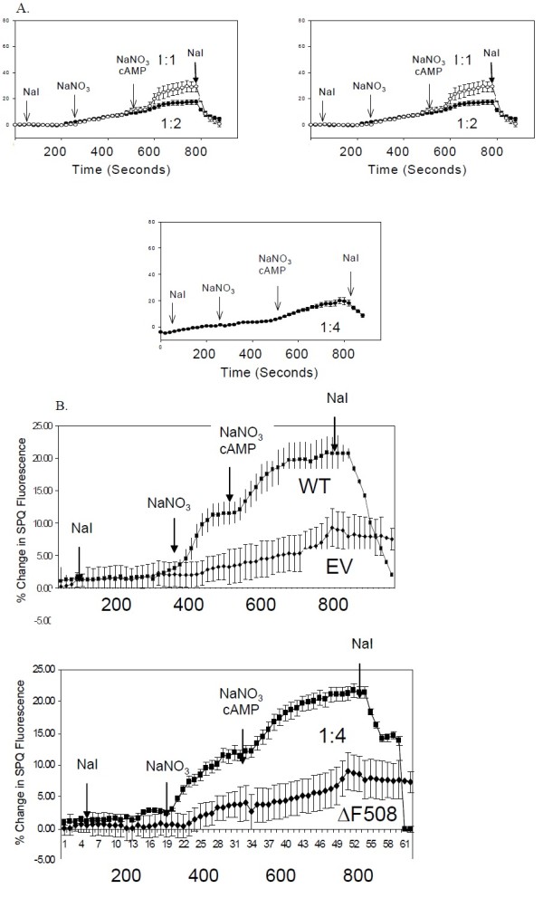 The ΔF508-CFTR mutation inhibits wild-type CFTR processing and function when co-expressed in human airway epithelia and in mouse nasal mucosa.