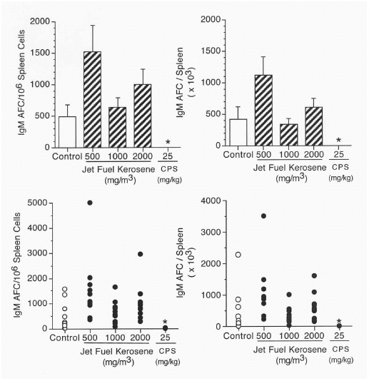 Jet fuel kerosene is not immunosuppressive in mice or rats following inhalation for 28 days.