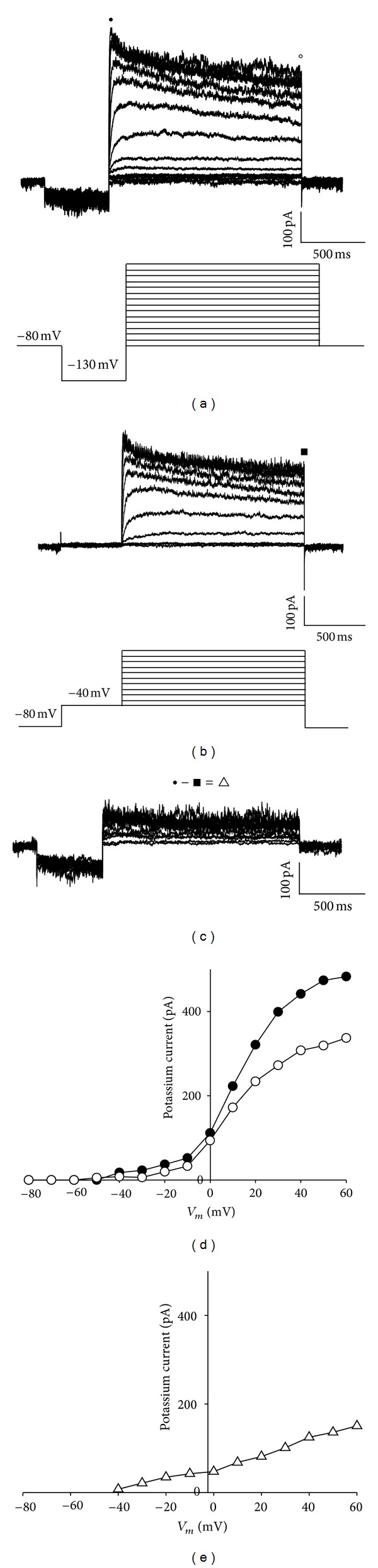 Potassium Current Is Not Affected by Long-Term Exposure to Ghrelin or GHRP-6 in Somatotropes GC Cells.