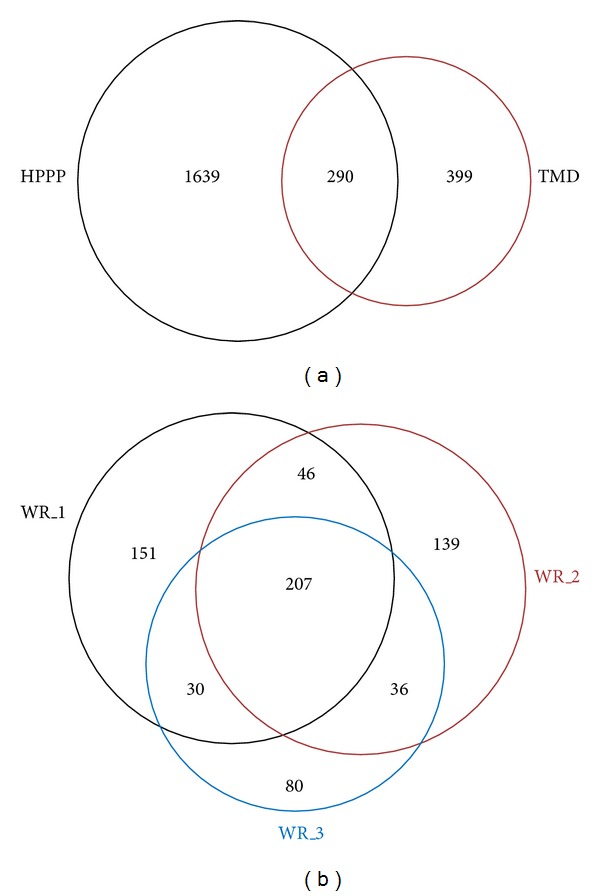 Additions to the Human Plasma Proteome via a Tandem MARS Depletion iTRAQ-Based Workflow.