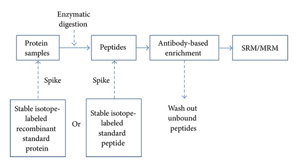 Protein target quantification decision tree.