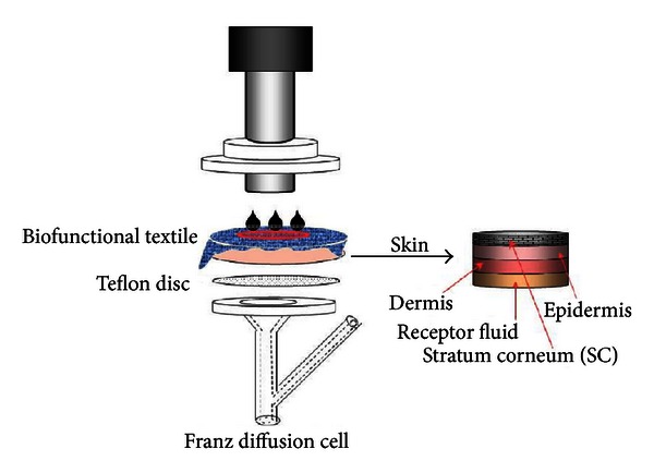 Cosmetotextiles with gallic Acid: skin reservoir effect.