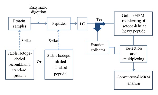 Protein target quantification decision tree.