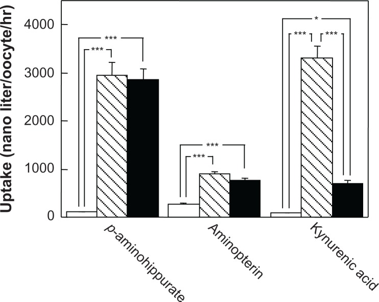 Transport of Kynurenic Acid by Rat Organic Anion Transporters rOAT1 and rOAT3: Species Difference between Human and Rat in OAT1.