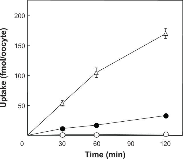 Transport of Kynurenic Acid by Rat Organic Anion Transporters rOAT1 and rOAT3: Species Difference between Human and Rat in OAT1.