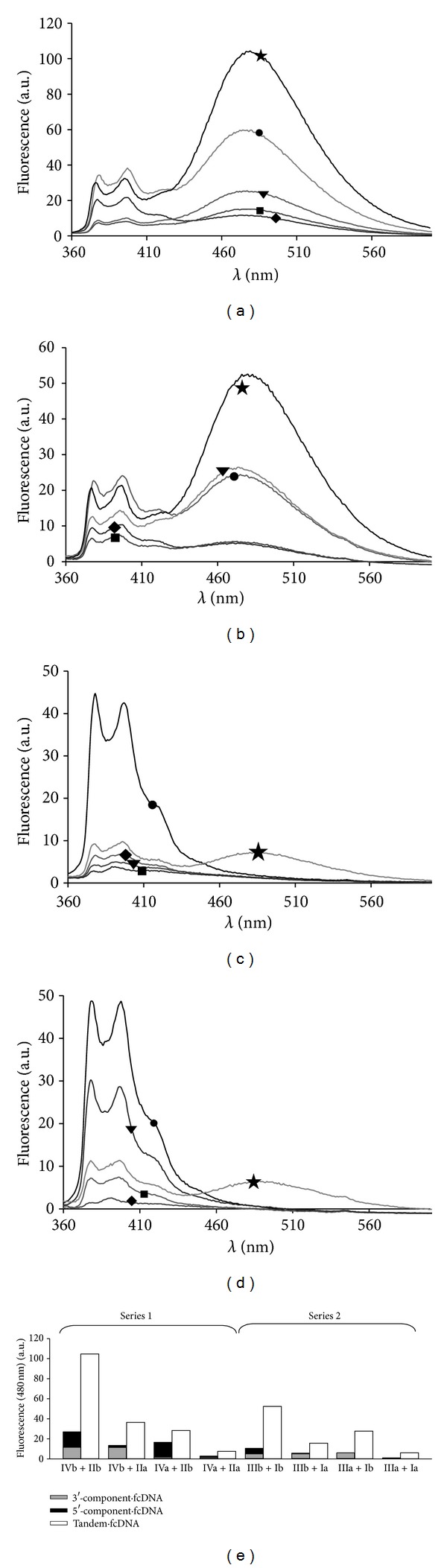 Multipyrene tandem probes for point mutations detection in DNA.