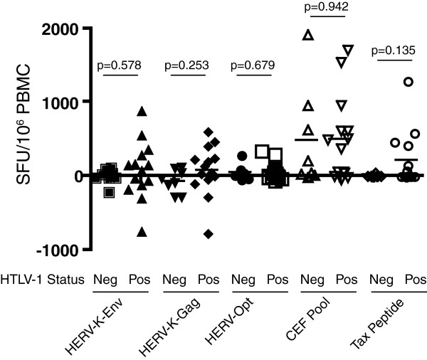 Human endogenous retrovirus K(HML-2) Gag and Env specific T-cell responses are not detected in HTLV-I-infected subjects using standard peptide screening methods.