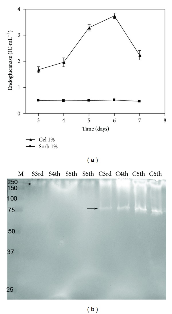 Cellulase and Xylanase Production by Penicillium echinulatum in Submerged Media Containing Cellulose Amended with Sorbitol.