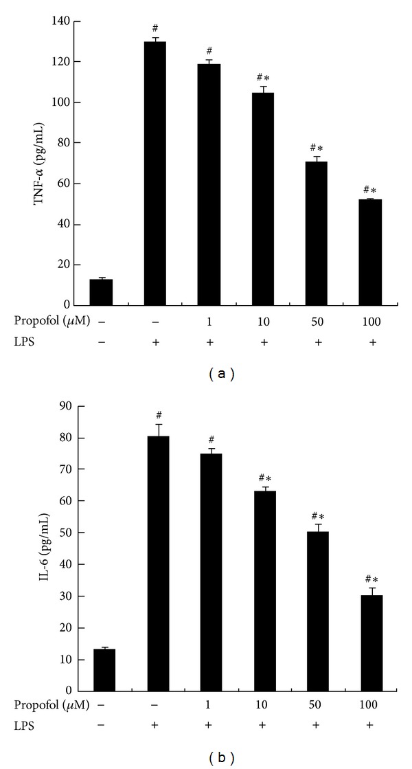 Propofol reduces lipopolysaccharide-induced, NADPH oxidase (NOX 2) mediated TNF- α and IL-6 production in macrophages.