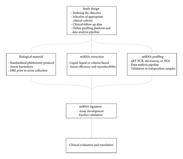 Circulating MicroRNAs as Biomarkers of Prostate Cancer: The State of Play.