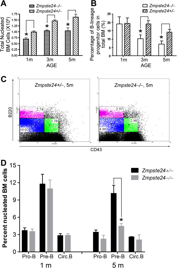 Accumulation of prelamin A compromises NF-κB-regulated B-lymphopoiesis in a progeria mouse model.