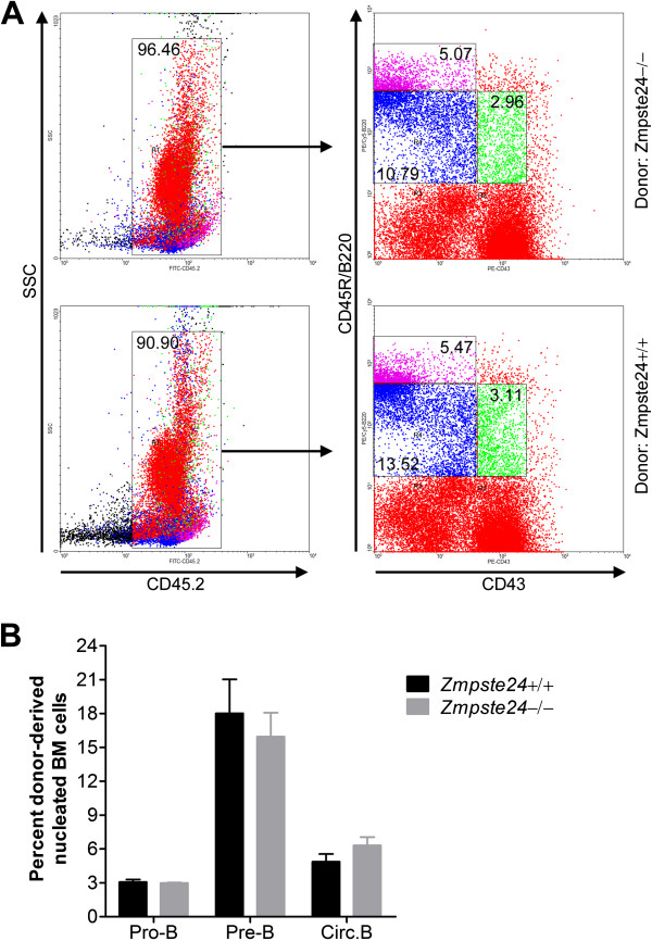 Accumulation of prelamin A compromises NF-κB-regulated B-lymphopoiesis in a progeria mouse model.