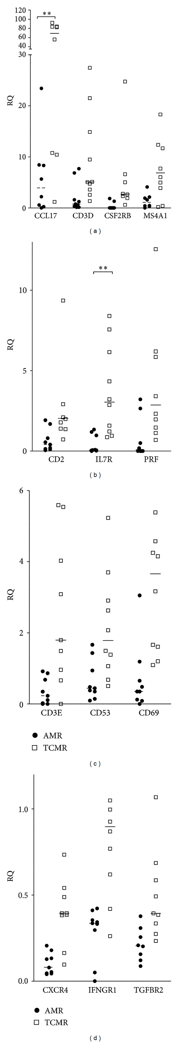 Molecular profiling of acute and chronic rejections of renal allografts.