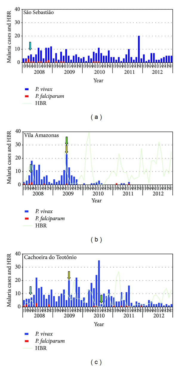 Selective intermittent preventive treatment of vivax malaria: reduction of malaria incidence in an open cohort study in brazilian Amazon.