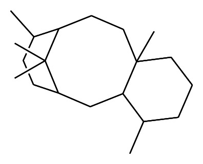 摘要图片