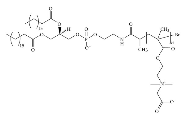 Stealth properties to improve therapeutic efficacy of drug nanocarriers.