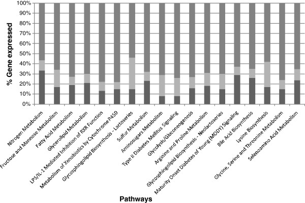 Genomic homeostasis is dysregulated in favour of apoptosis in the colonic epithelium of the azoxymethane treated rat.