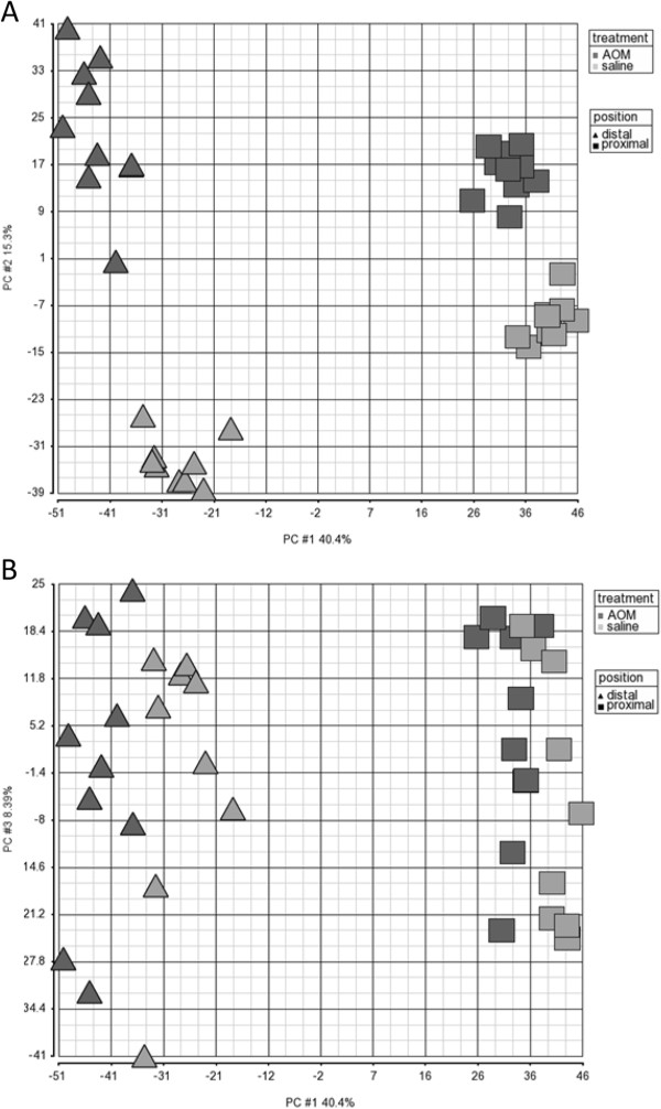 Genomic homeostasis is dysregulated in favour of apoptosis in the colonic epithelium of the azoxymethane treated rat.