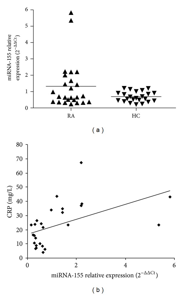 Upregulated microRNA-155 expression in peripheral blood mononuclear cells and fibroblast-like synoviocytes in rheumatoid arthritis.