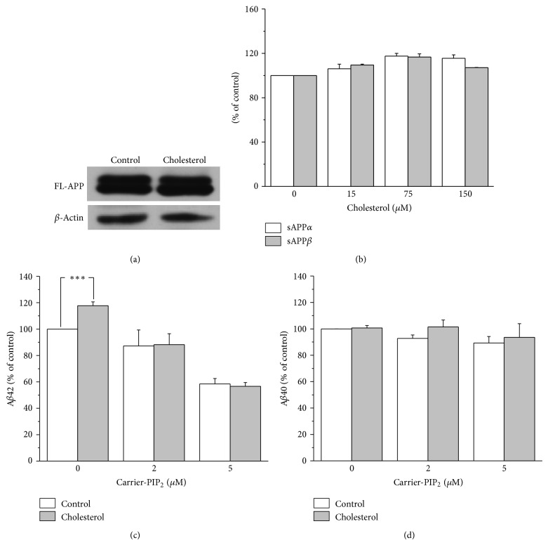 Increasing Membrane Cholesterol Level Increases the Amyloidogenic Peptide by Enhancing the Expression of Phospholipase C.