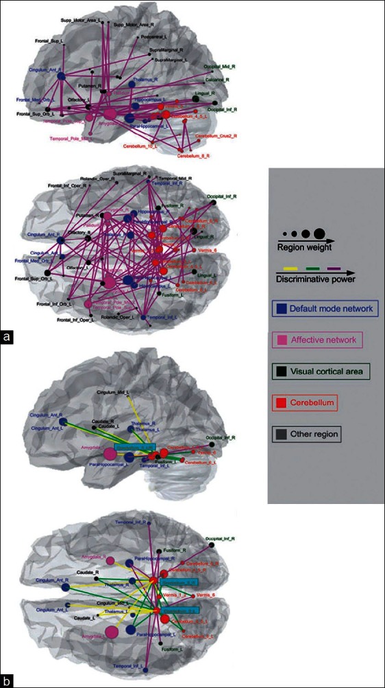 Psychopharmacological Practice: The DSM Versus The Brain.