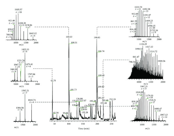 Top-Down Characterization of the Post-Translationally Modified Intact Periplasmic Proteome from the Bacterium Novosphingobium aromaticivorans.