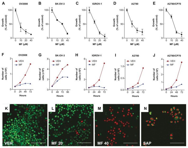 Synergistic lethality of mifepristone and LY294002 in ovarian cancer cells.