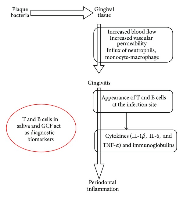 Periodontal proteomics: wonders never cease!