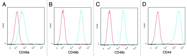 Enhancing retention and efficacy of cardiosphere-derived cells administered after myocardial infarction using a hyaluronan-gelatin hydrogel.