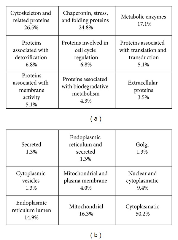 Periodontal proteomics: wonders never cease!