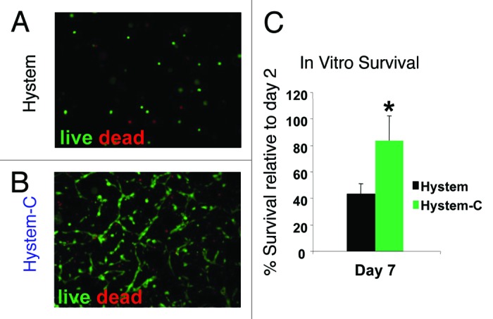 Enhancing retention and efficacy of cardiosphere-derived cells administered after myocardial infarction using a hyaluronan-gelatin hydrogel.