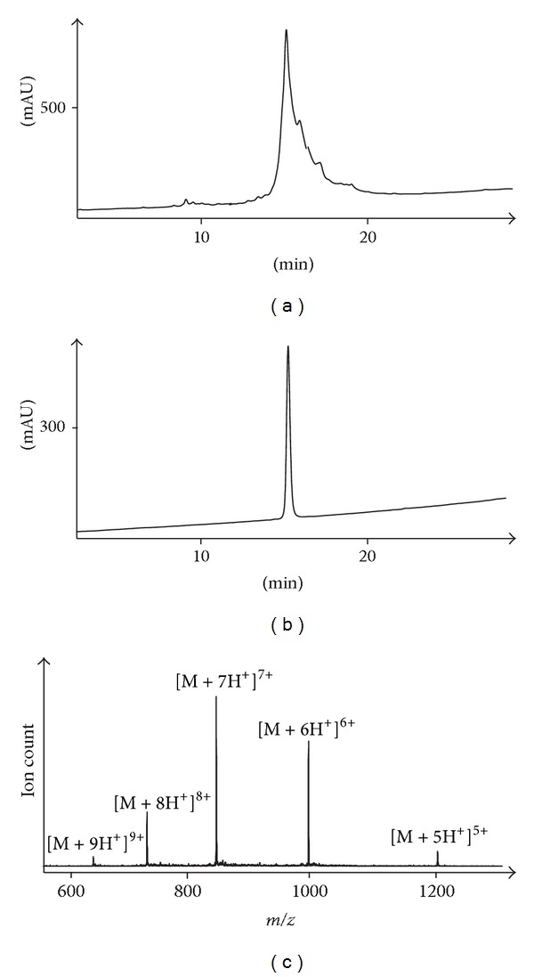 Total chemical synthesis of a heterodimeric interchain bis-lactam-linked Peptide: application to an analogue of human insulin-like Peptide 3.