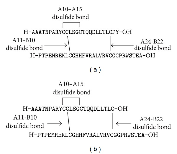 Total chemical synthesis of a heterodimeric interchain bis-lactam-linked Peptide: application to an analogue of human insulin-like Peptide 3.