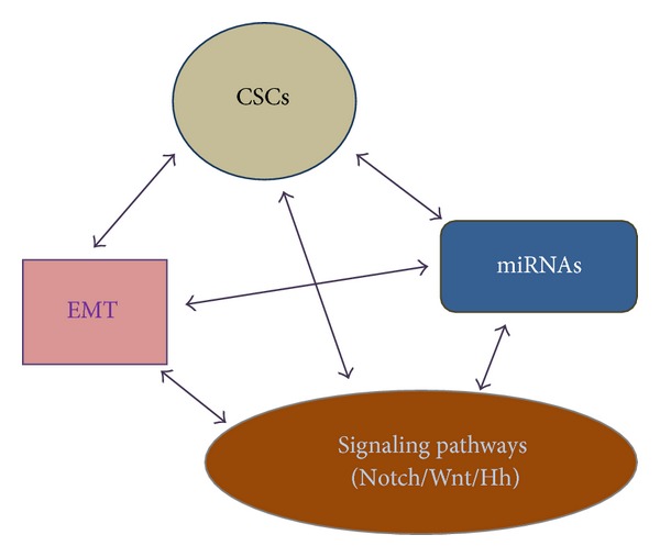 Pathways to breast cancer recurrence.