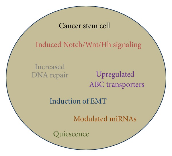 Pathways to breast cancer recurrence.