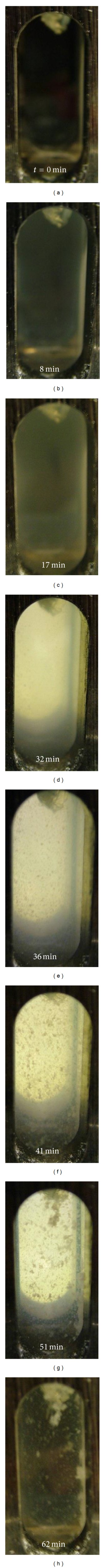 Thermal aggregation of recombinant protective antigen: aggregate morphology and growth rate.