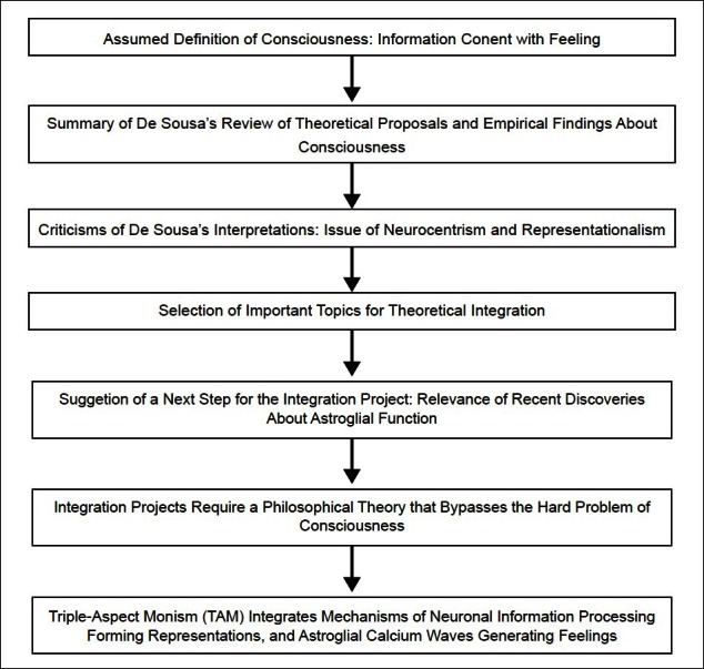 A Commentary On De Sousa's "Towards An Integrative Theory Of Consciousness".