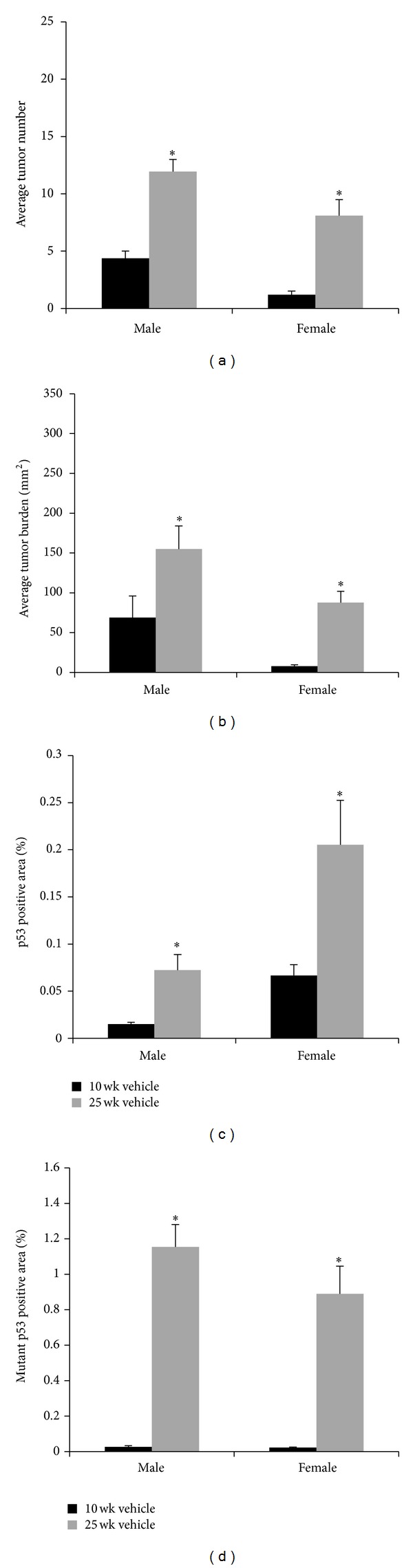 Extended UVB Exposures Alter Tumorigenesis and Treatment Efficacy in a Murine Model of Cutaneous Squamous Cell Carcinoma.