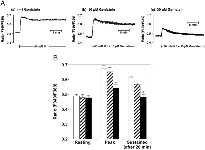 Membrane depolarization-induced RhoA/Rho-associated kinase activation and sustained contraction of rat caudal arterial smooth muscle involves genistein-sensitive tyrosine phosphorylation.