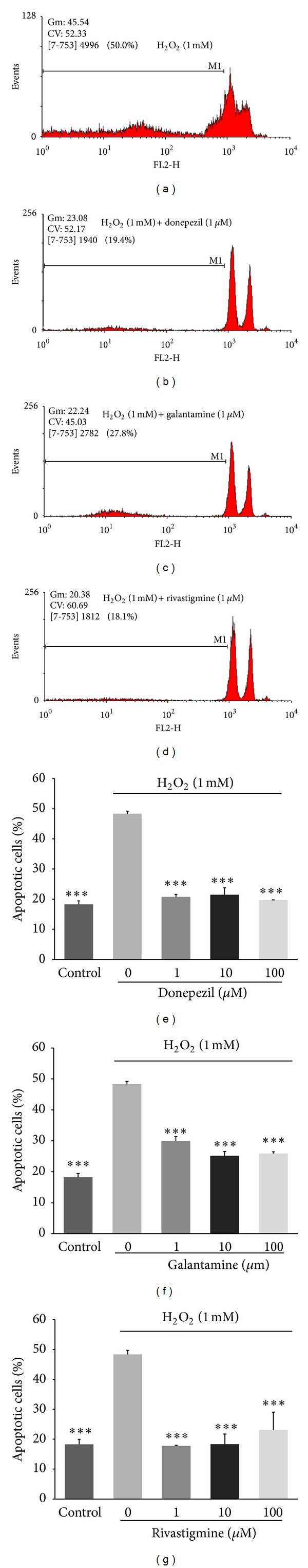 Acetylcholinesterase inhibitors promote angiogenesis in chick chorioallantoic membrane and inhibit apoptosis of endothelial cells.