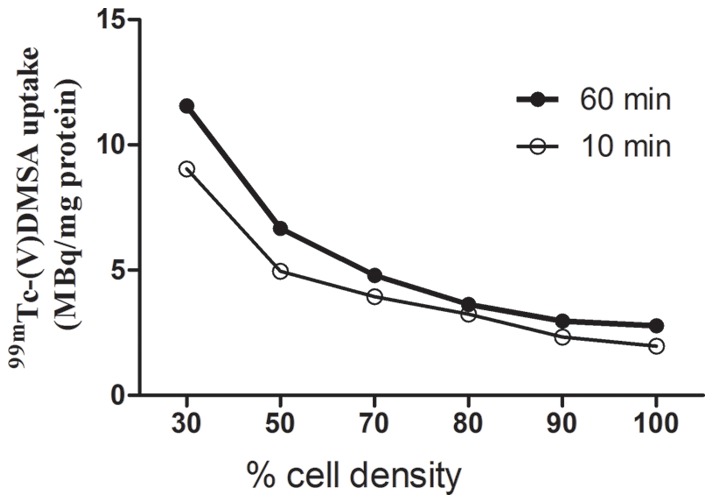 Assessment of tracer 99mTc(V)-DMSA uptake as a measure of tumor cell proliferation in vitro.