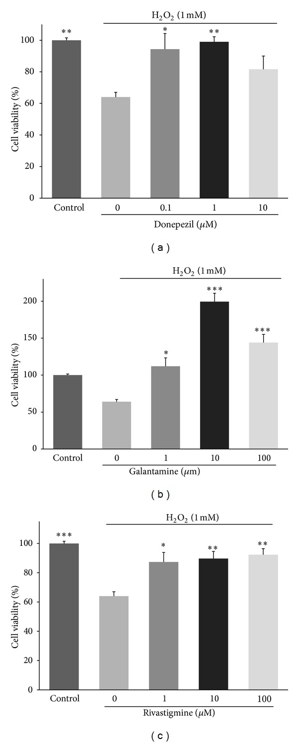 Acetylcholinesterase inhibitors promote angiogenesis in chick chorioallantoic membrane and inhibit apoptosis of endothelial cells.