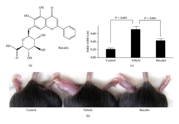 Baicalin inhibits IL-17-mediated joint inflammation in murine adjuvant-induced arthritis.